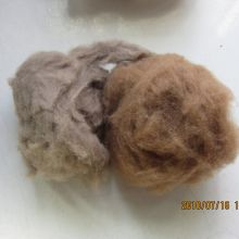 Merino Sheep Wool Fiber Cashmere Quilt Filling Removing Wool From Sheep