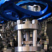 Duplex Globe Valves thumbnail-1