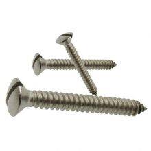 Raised CSK Head Self Tapping Wood Screws , Slotted Raised Countersunk Wood Screw thumbnail-2