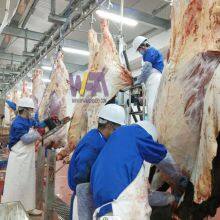 Halal Good Service 100 - 200 Cattle per Shift Abattoir Machine Beef Meat Processing Machinery for Cow Butcher Equipment thumbnail-1