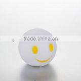 Led Custom Squirrel Ball Toy