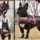 explosion proof pet safety harness for sale