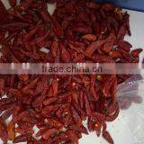 Dry Red Chili With High Quality thumbnail-6