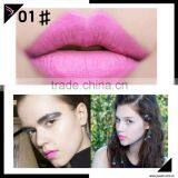 Long Lasting Matte Waterproof Lip Gloss/lip Color