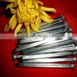 Fast Sell Galvanized Square Boat Nails