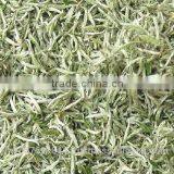 White Tea Silver Tip thumbnail-1