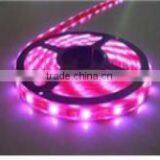 12v/24v 30led 5050 Strip