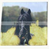 photo printing 100% polyester fancy cushion cover
