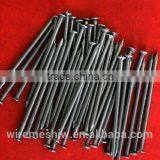 Black Common Nail/Flat Head Stainless Steel Ring Shank Nails