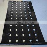 Black Mulch Film With Holes For Agriculture