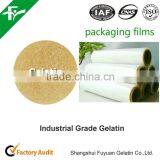 China Supply Best Price for Industrial Gelatin thumbnail-5