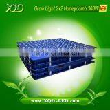 Agricultural Intelligence Plant Factory Use Led Grow Lights 300w Honeycomb Help Lettuces Growing Best thumbnail-3