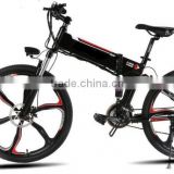 Top Quality Cheap Guangdong 36V10ah Lithium Battery Ladies E-Bike