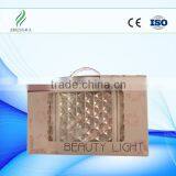 Best Selling Professional Pdt Led Light Therapy Equipment for Women's Skin Care and Ance Scar Removal thumbnail-5