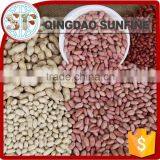 Price of Raw Peanut Seed Kernel thumbnail-2