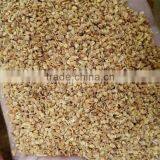 Goji berry seed/NQ-1/NQ-7 goji seeds/For plant