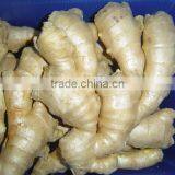 Fresh Air Dried Ginger thumbnail-1