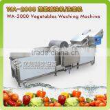 CE Certificated 1000kg Capacity Low Voltage Auto Lettuce/Herb Washing Machine thumbnail-2