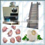 TYFB-1000 Full Automatic Garlic Clove Separator (SMS: 0086-15903675071)