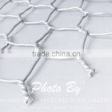 GI Hexagonal Mesh thumbnail-4