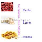 Fruits and Vegetables Dehydration Machines thumbnail-6