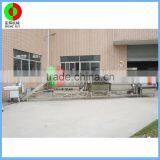New Developed Vortex Air Bubble Ozone Fruit and Vegetable Washing Machine, Advanced Vegetable Washer for Production Line thumbnail-4