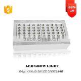 Low Price Aaa Quality High Power Patent 300W Led Grow Light From Shenzhen Factory thumbnail-3