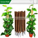 Wholesale Coconut Plant Stake thumbnail-1