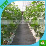 Heavy Dusty Weed Control Fabric Mat thumbnail-2