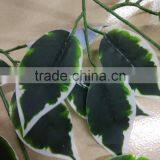 GUangzhou Shengjie Wholesale White Edge Banyan Tree Leaves for Ficus Tree Decoration thumbnail-5