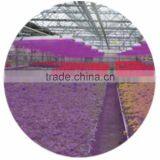 20W Waterproof LED Grow Light thumbnail-2