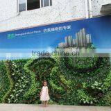 2016 New Line Green Wall for Fashion Show Plants Green Wall thumbnail-2