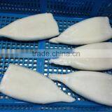 Frozen Pacific Squid Tube thumbnail-4