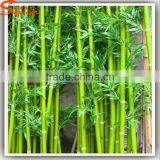 Customized Beautify Artificial Bamboo Fake Bamboo For Park and Garden Landscape Decoration thumbnail-2