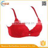 HSZ-58067 Wholesale Latest Design Women Underwear Bra Ladies Full Cup Bras thumbnail-4