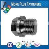 Made in Taiwan Hexagon Head Pipe Plugs DIN 910 thumbnail-4