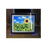 Video / Audio / Photo 15 Inch Personalized Digital Photo Frame With LED Light