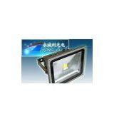 LED Flood Light
