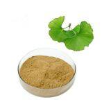 Best Price Natural Ginkgo Biloba Extract 24 Flavonoids Extract