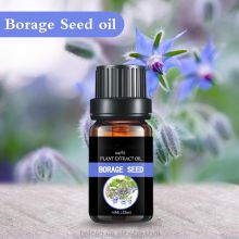 manufacturer supply carrier oil borage oil pure natural base oil borage seed oil with best price