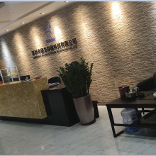 Shenzhen First Storage Limited company overview - view 1 thumbnail