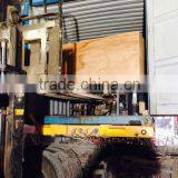 CA MJ6132TYO Precise Wood Cutting Panel Saw thumbnail-6