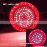 Hot Selling Energy Saving Eco-friendly Manufacturer in China 24W Modern LED Pendant Fresh Light thumbnail-2