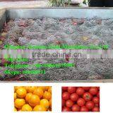 Vegetable Washing Machine/Factory Fruit Bubble Washing Machine