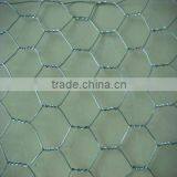 1/4" to 3" Hexagonal Chicken Wire Mesh