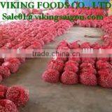 FRESH RED ONION _ FROM VIET NAM thumbnail-3