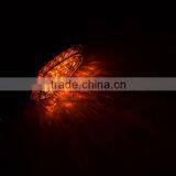 BJ-SL-041S Super Bright Mini Amber Bulb Motorcycle Led Indicator Light Indicators thumbnail-6