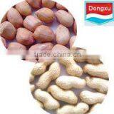 Brand Peanut Kernels/peanut in Shell