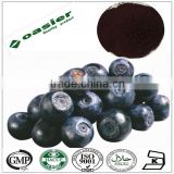 Direct Manufacturer supply natural bilberry extract capsule