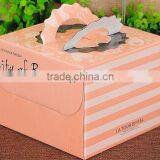 Fast Delivery Custom Backpack Packaging and Food Warmer Lunch Box,Full Colors Plastic Medicine Boxes Printed ---DH20278 thumbnail-1